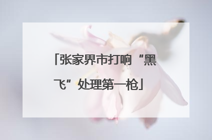 张家界市打响“黑飞”处理第一枪