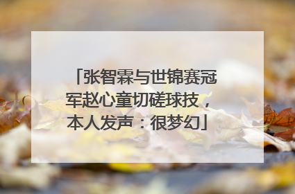 张智霖与世锦赛冠军赵心童切磋球技，本人发声：很梦幻
