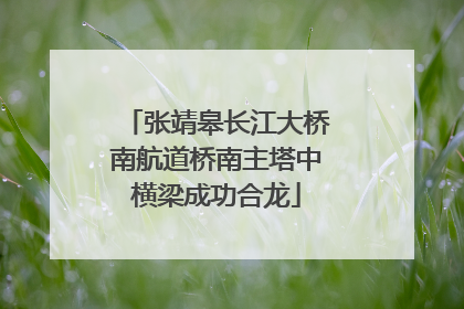 张靖皋长江大桥南航道桥南主塔中横梁成功合龙
