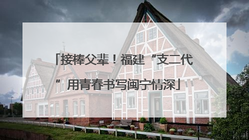 接棒父辈！福建“支二代”用青春书写闽宁情深