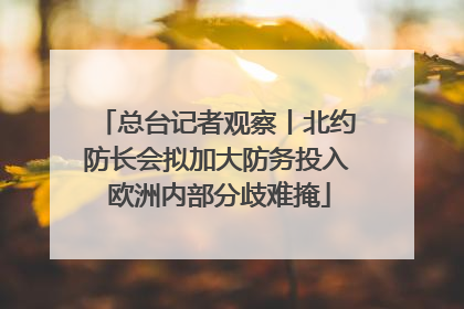 总台记者观察丨北约防长会拟加大防务投入 欧洲内部分歧难掩