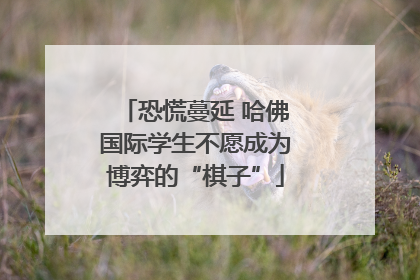 恐慌蔓延 哈佛国际学生不愿成为博弈的“棋子”