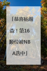 恭喜杨瀚森！第16顺位被NBA选中