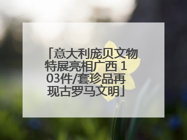 意大利庞贝文物特展亮相广西 103件/套珍品再现古罗马文明