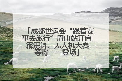 成都世运会“跟着赛事去旅行”眉山站开启 霹雳舞、无人机大赛等将一一登场