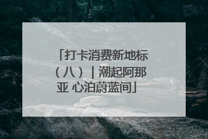 打卡消费新地标（八）｜潮起阿那亚 心泊蔚蓝间