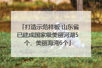 打造示范样板 山东省已建成国家级美丽河湖5个、美丽海湾6个