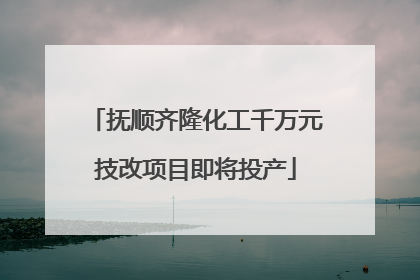 抚顺齐隆化工千万元技改项目即将投产