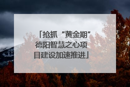 抢抓“黄金期” 德阳智慧之心项目建设加速推进