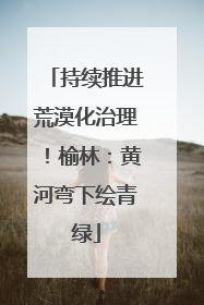 持续推进荒漠化治理！榆林：黄河弯下绘青绿