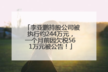 李亚鹏持股公司被执行约244万元，一个月前因欠税561万元被公告！