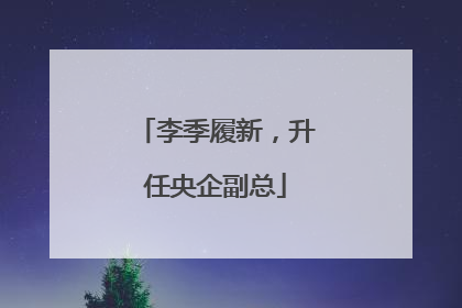 李季履新，升任央企副总
