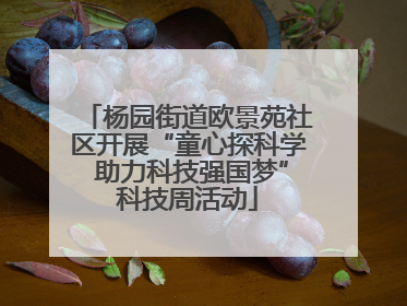 杨园街道欧景苑社区开展“童心探科学 助力科技强国梦”科技周活动