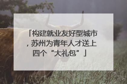 构建就业友好型城市，苏州为青年人才送上四个“大礼包”