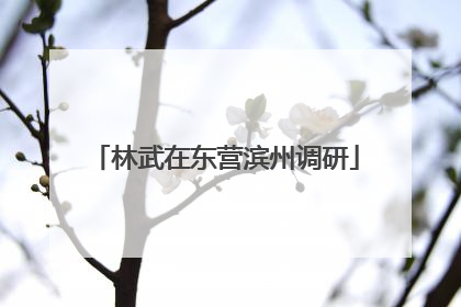 林武在东营滨州调研