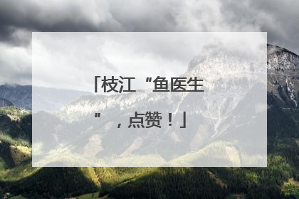枝江“鱼医生”，点赞！