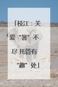 枝江：关爱“暑”不尽 托管有“趣”处