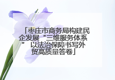枣庄市商务局构建民企发展“三维服务体系” 以法治保障书写外贸高质量答卷