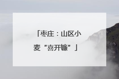 枣庄：山区小麦“喜开镰”
