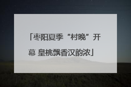 枣阳夏季“村晚”开幕 皇桃飘香汉韵浓