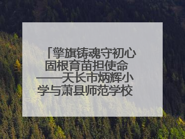 擎旗铸魂守初心 固根育苗担使命——天长市炳辉小学与萧县师范学校附属小学结对共建活动纪实