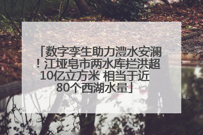 数字孪生助力澧水安澜！江垭皂市两水库拦洪超10亿立方米 相当于近80个西湖水量