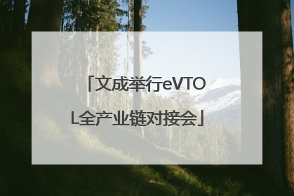 文成举行eVTOL全产业链对接会