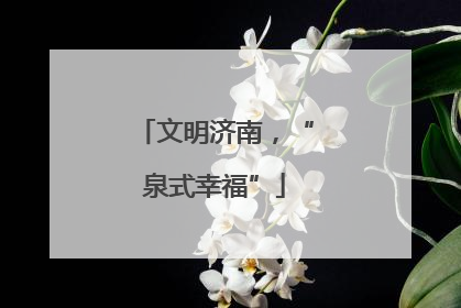 文明济南，“泉式幸福”