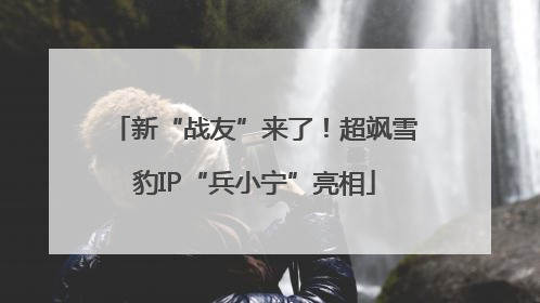 新“战友”来了！超飒雪豹IP“兵小宁”亮相