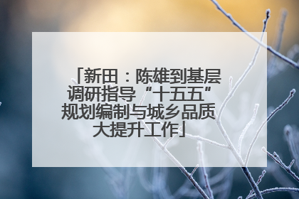 新田：陈雄到基层调研指导“十五五”规划编制与城乡品质大提升工作