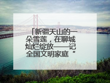 新疆天山的一朵雪莲，在聊城灿烂绽放——记全国文明家庭“詹春芳家庭”