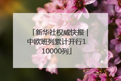 新华社权威快报｜中欧班列累计开行110000列