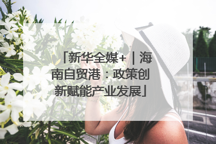 新华全媒+｜海南自贸港：政策创新赋能产业发展
