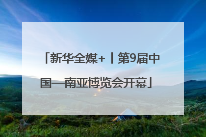 新华全媒+丨第9届中国—南亚博览会开幕
