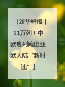 新华鲜报丨11万列！中欧班列跑出亚欧大陆“新时速”