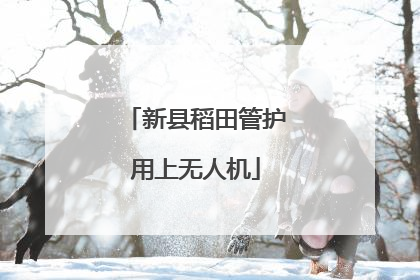 新县稻田管护用上无人机