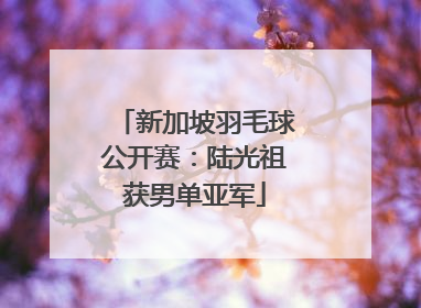 新加坡羽毛球公开赛：陆光祖获男单亚军