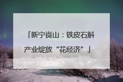 新宁崀山：铁皮石斛产业绽放“花经济”
