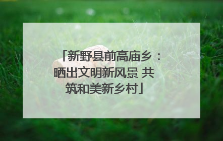 新野县前高庙乡：晒出文明新风景 共筑和美新乡村