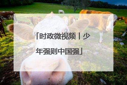 时政微视频丨少年强则中国强