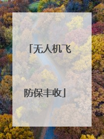 无人机飞防保丰收