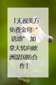 无视美方免费金穹“诱惑” 加拿大转向欧洲谋国防合作