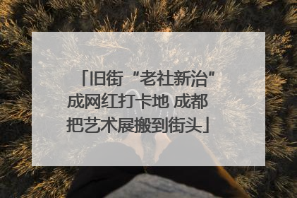 旧街“老社新治”成网红打卡地 成都把艺术展搬到街头