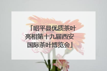 昭平县优质茶叶亮相第十九届西安国际茶叶博览会