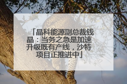 晶科能源副总裁钱晶：当务之急是加速升级既有产线，沙特项目正推进中