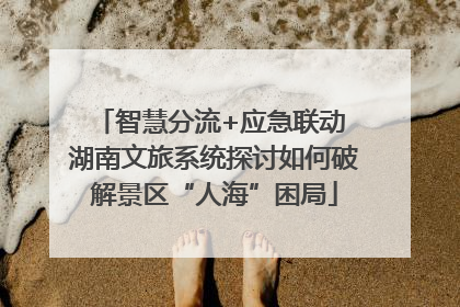 智慧分流+应急联动 湖南文旅系统探讨如何破解景区“人海”困局