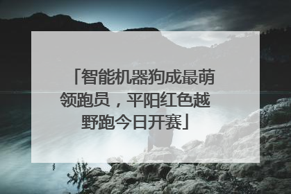 智能机器狗成最萌领跑员，平阳红色越野跑今日开赛
