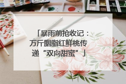 暴雨前抢收记：万斤胭脂红鲜桃传递“双向甜蜜”