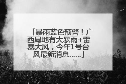 暴雨蓝色预警！广西局地有大暴雨+雷暴大风，今年1号台风最新消息……