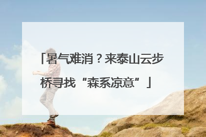 暑气难消？来泰山云步桥寻找“森系凉意”